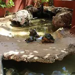 El Acuario Hotel