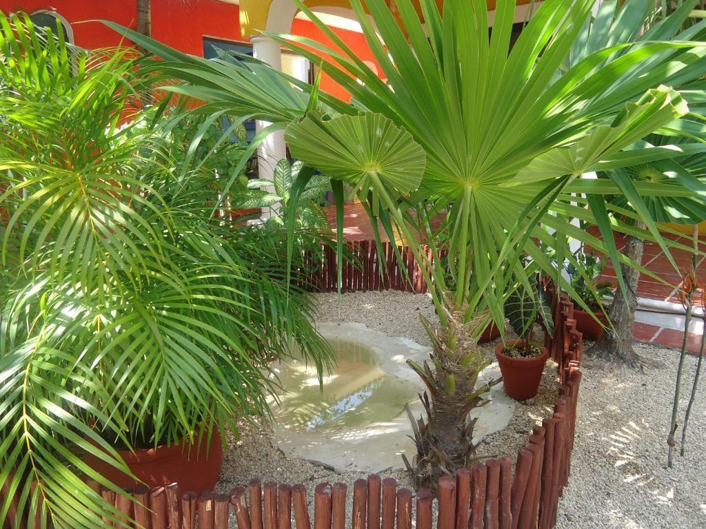 El Acuario 3* Playa del Carmen