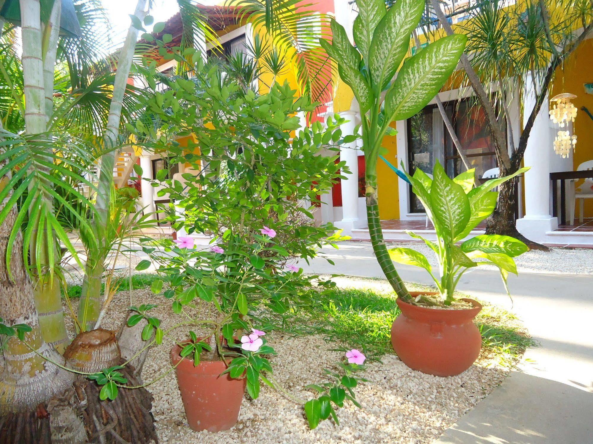 El Acuario Playa del Carmen